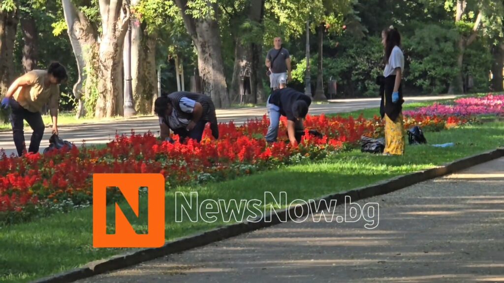 Цветя за празника на Варна украсиха входа на Морската градина