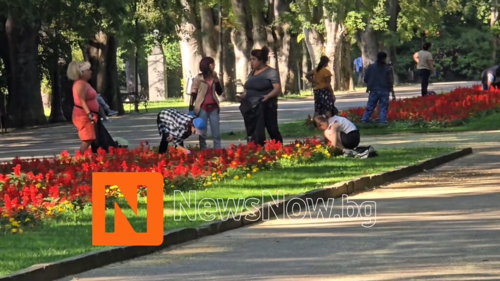 Цветя за празника на Варна украсиха входа на Морската градина
