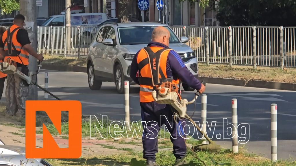 Община Варна засили контрола върху зелените площи: резултатите се виждат вече три месеца