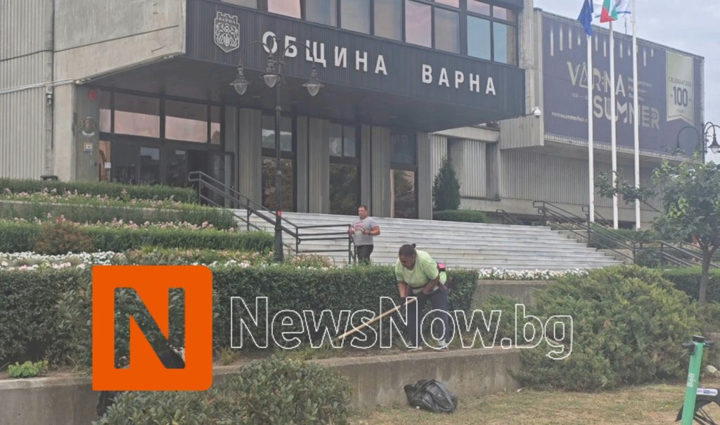 Община Варна засили контрола върху зелените площи: резултатите се виждат вече три месеца