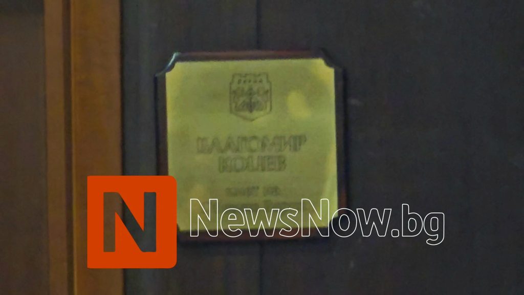 Варна: Интерактивна карта показва местата, предвидени за нови дървета в район „Одесос“