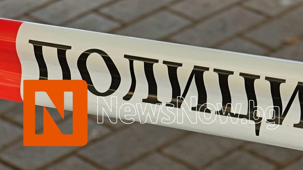 Румен Радев посрещна Андрей Бабиш с официална церемония в София