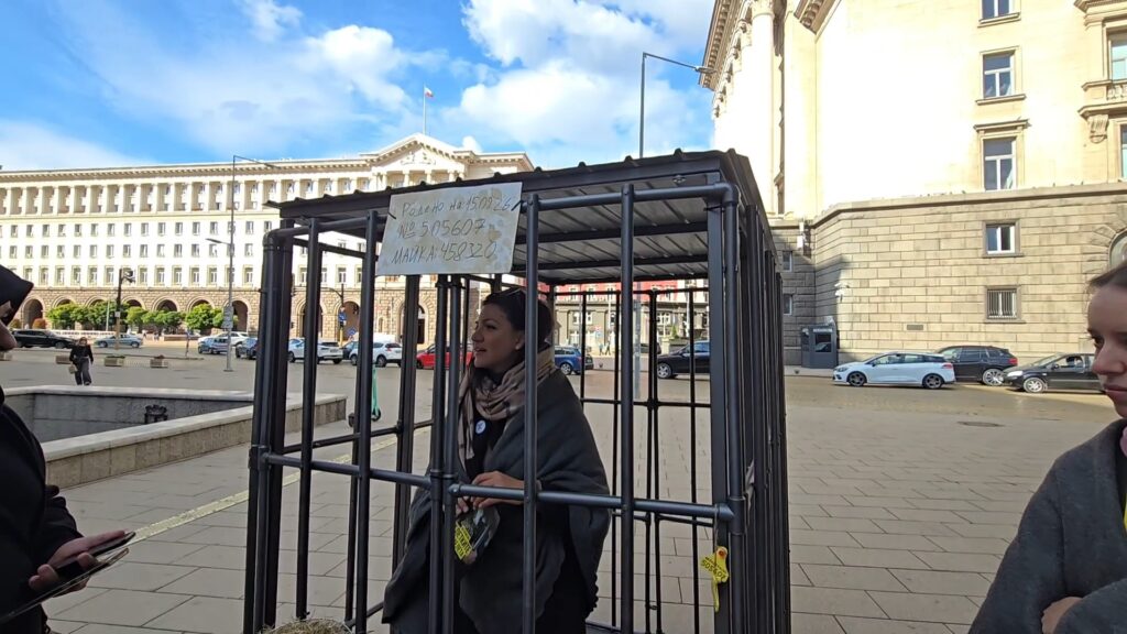 Седмици в клетка“: 200 доброволци настояват за забрана на клетките за телета пред парламента