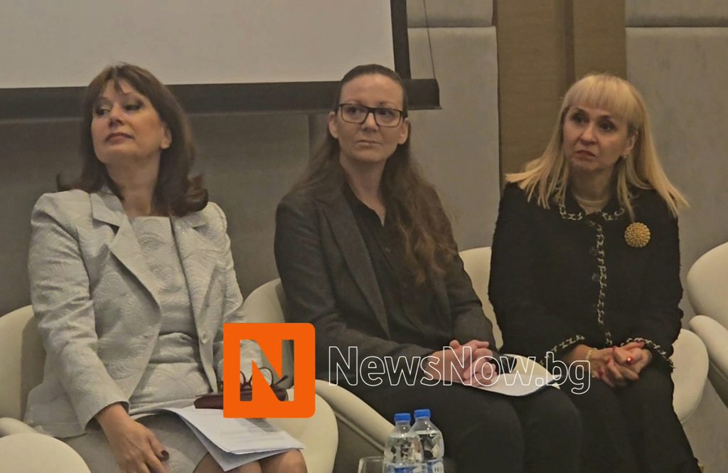 Велислава Делчева: Изкуственият интелект вече пише жалби до омбудсмана