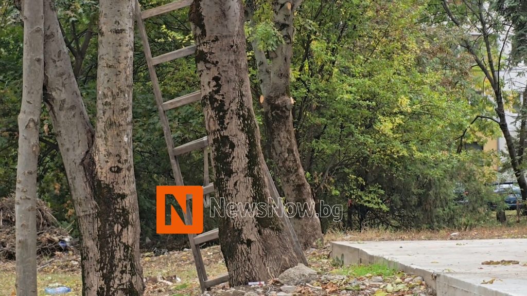 СКАНДАЛ В „ДИАНАБАД“: СТРОЕЖЪТ ГОТОВ ПРЕДИ ТЪРГА? КОЙ ИЗБРА ПОБЕДИТЕЛЯ НА УЛ. „АТАНАС ДАЛЧЕВ“?